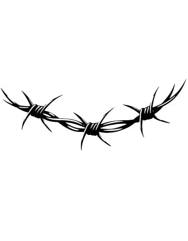 Barbed: Boundaries Protected