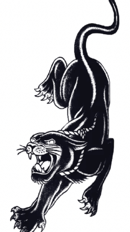 Panther: Rage Refined