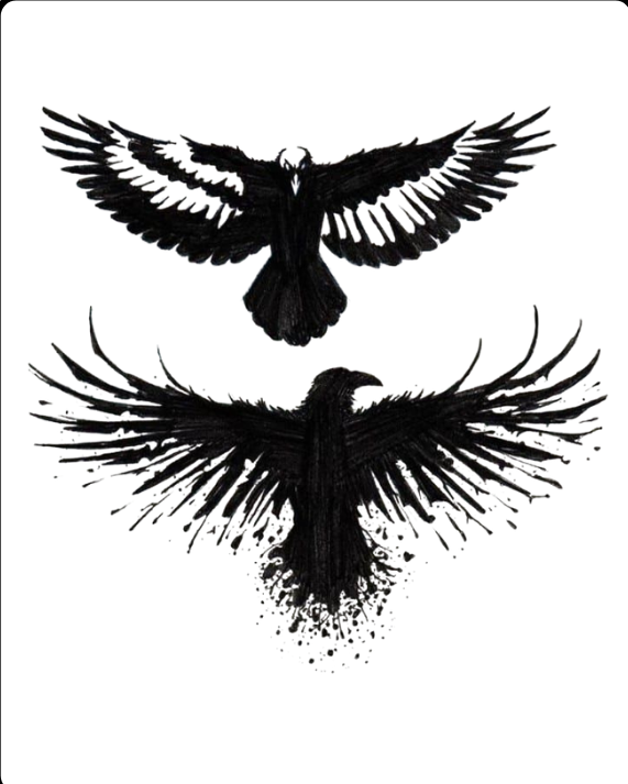 Raven: Wings Spread
