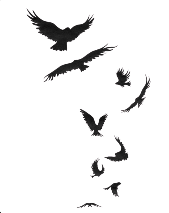 Falling Birds: Freedom in Descent