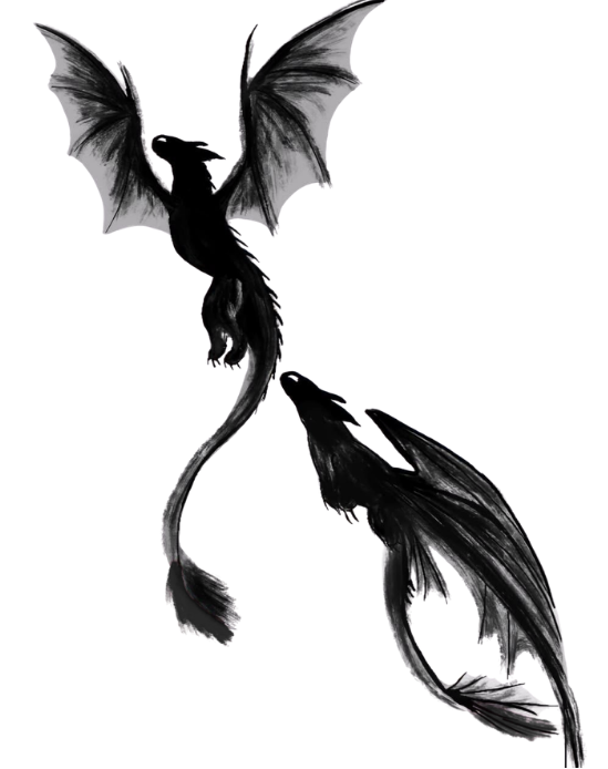 Dragons Twin: Connected Souls