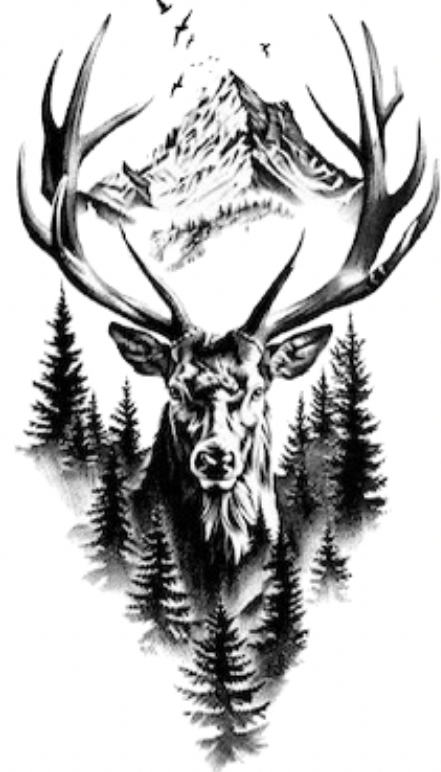 The Wild: Stag & Forest