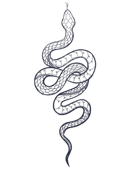 Serpent: Coiled Wisdom