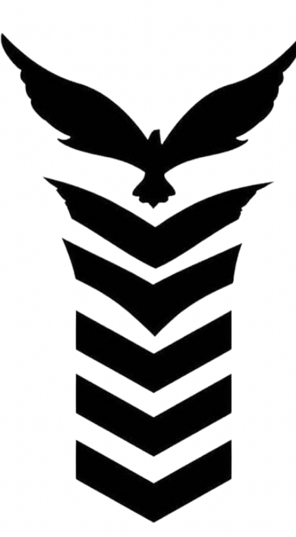 Eagle: Ascent