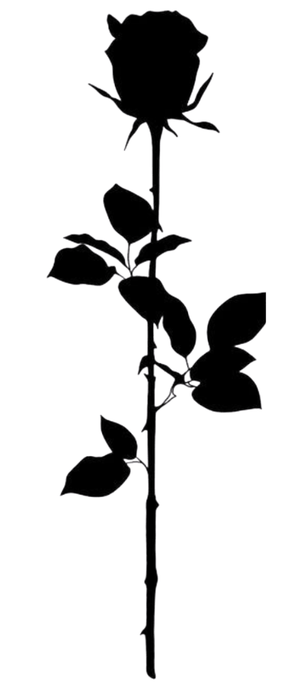 Rose: Silent Strength