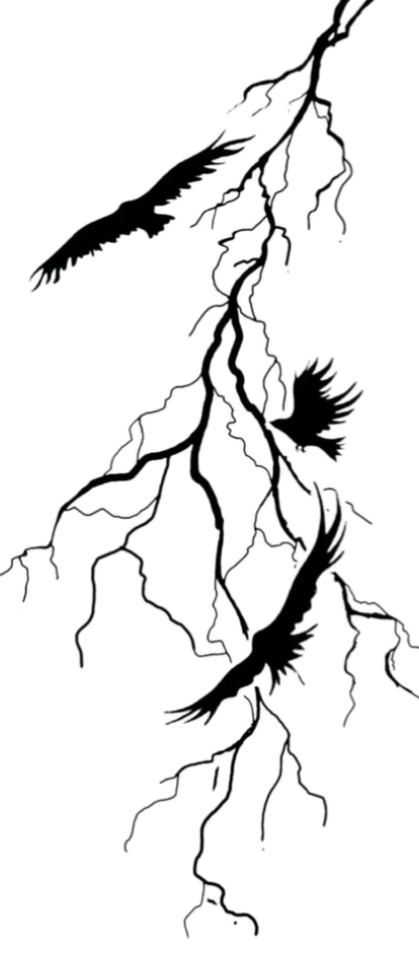 Lightening: Birds in Flight