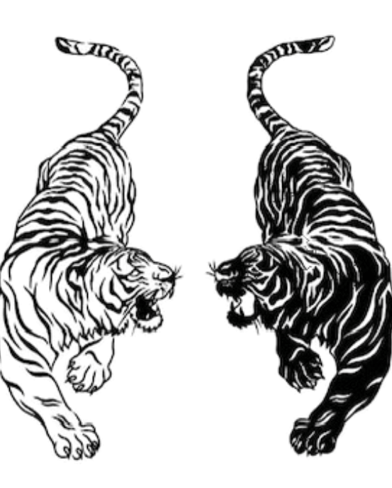 Twin Tigers: Duality